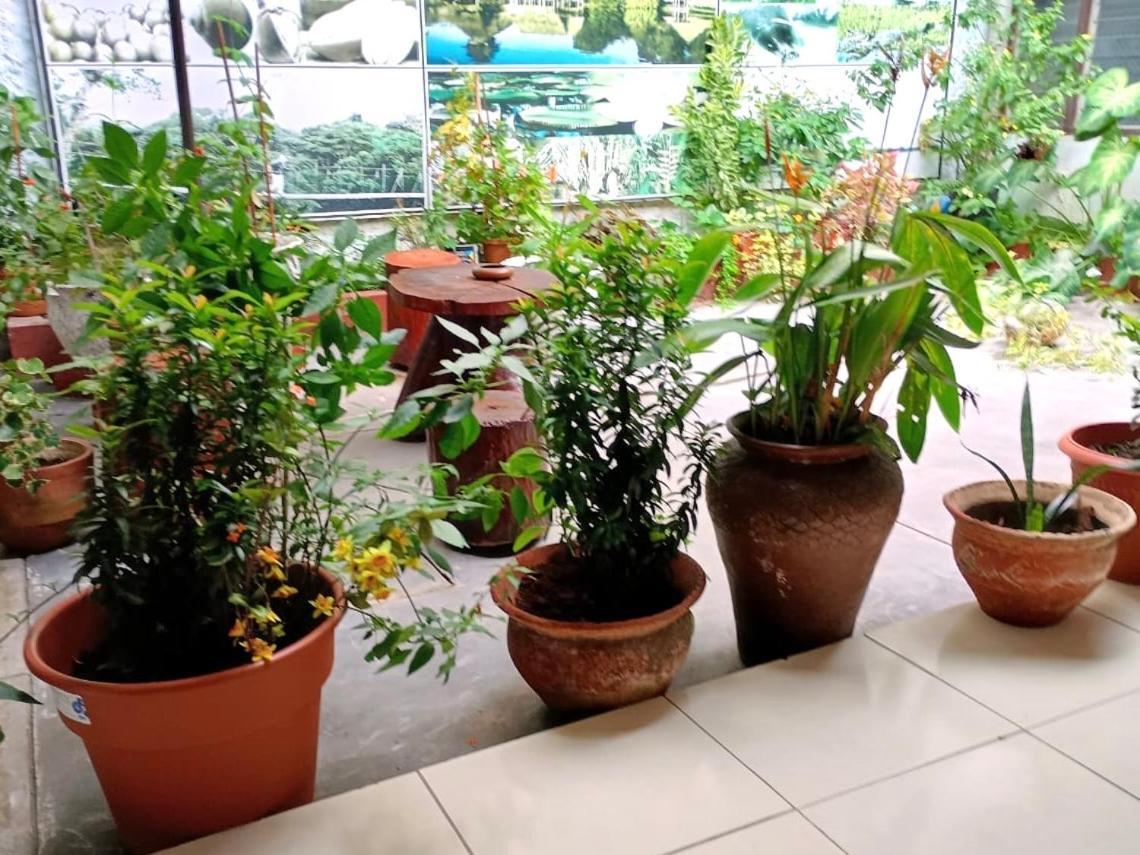 Hospedaje Casa Amazonica Iquitos Exterior foto